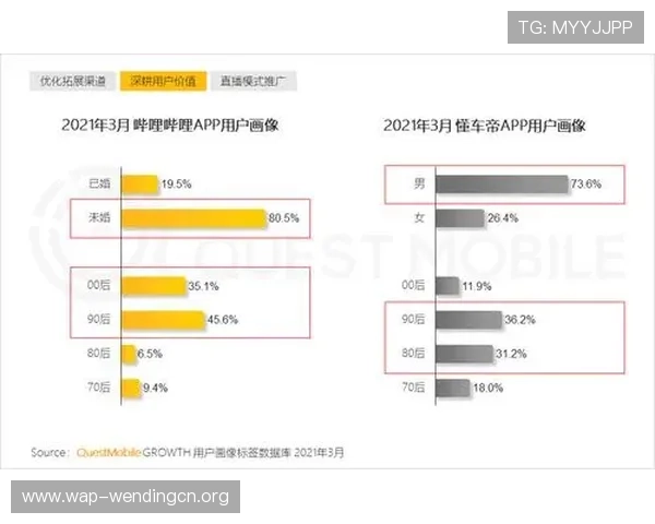 问鼎的网址内容优化策略，增强网站权威性和用户粘性的具体操作步骤