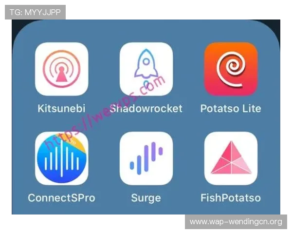 问鼎苹果版软件下载官方入口网址及稳定访问的详细操作攻略